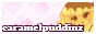 caramelpuddinz button